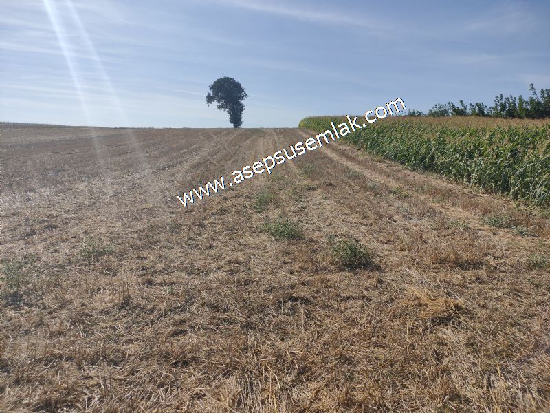 2.578 M2 Yatırımlık Tarla Meyve, Hobi Bahçesi