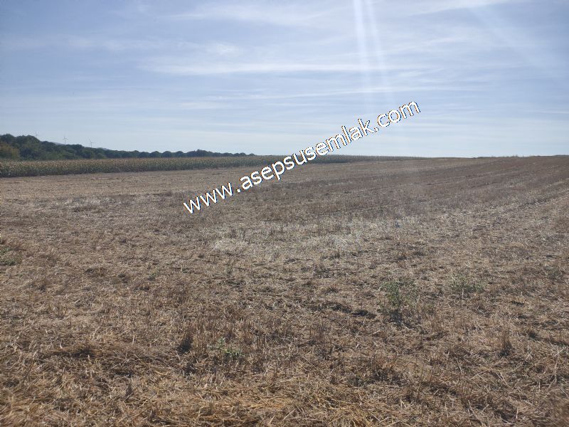 2.578 M2 Yatırımlık Tarla Meyve, Hobi Bahçesi