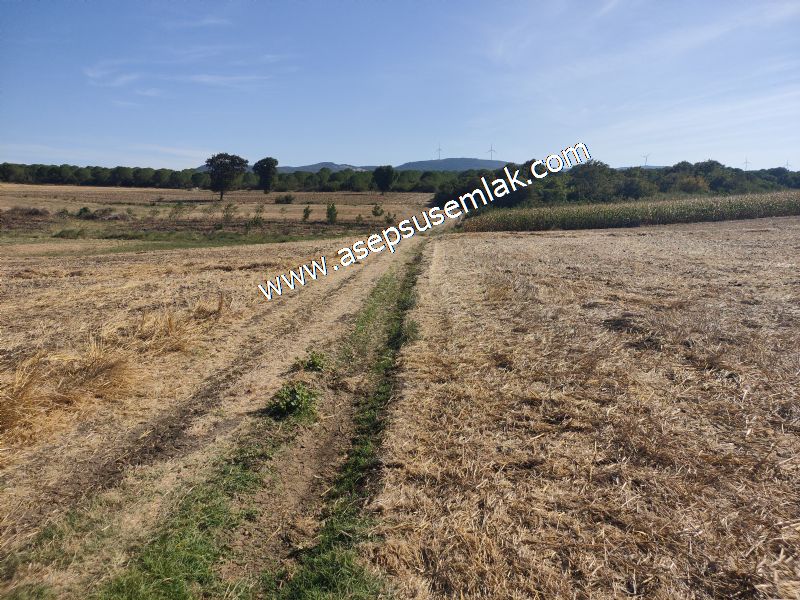 2.578 M2 Yatırımlık Tarla Meyve, Hobi Bahçesi