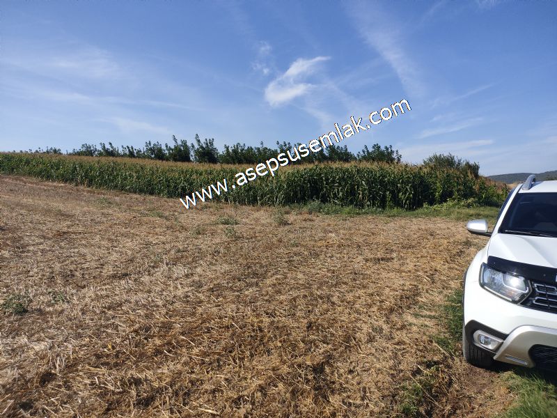 2.578 M2 Yatırımlık Tarla Meyve, Hobi Bahçesi
