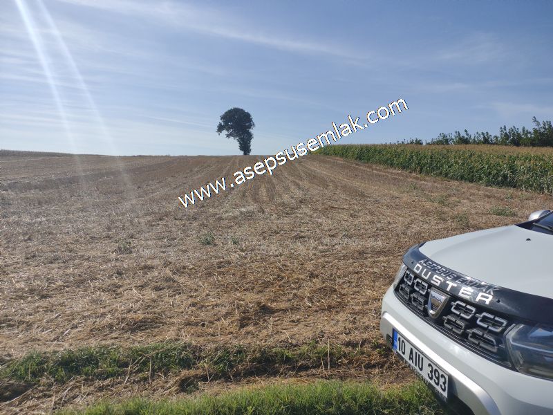 2.578 M2 Yatırımlık Tarla Meyve, Hobi Bahçesi