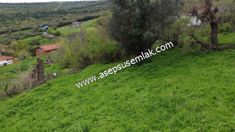 843 M2 Gönen'de Köy Evi Bahçeli Kerpiç Ev Elektrik Var.