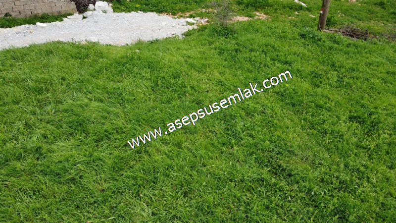 843 M2 Gönen'de Köy Evi Bahçeli Kerpiç Ev Elektrik Var.