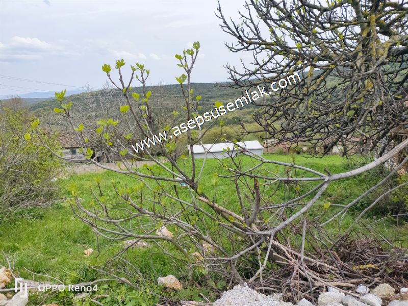 843 M2 Gönen'de Köy Evi Bahçeli Kerpiç Ev Elektrik Var.