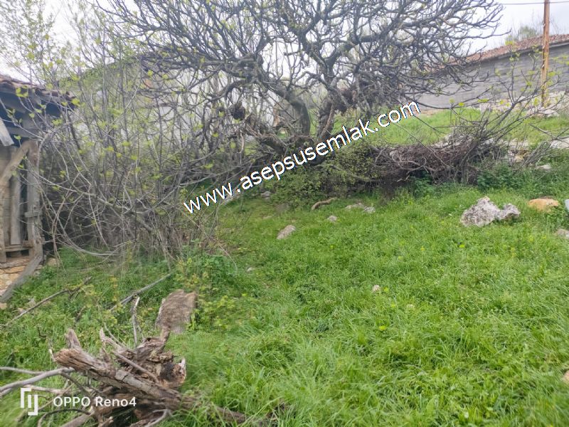 843 M2 Gönen'de Köy Evi Bahçeli Kerpiç Ev Elektrik Var.