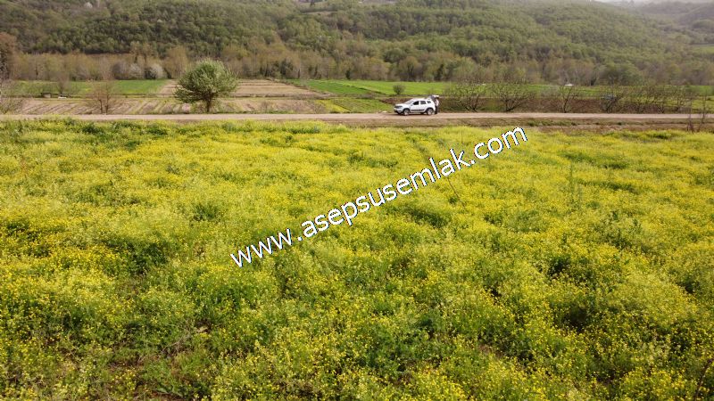 4.034 M2 Gönen Sulama Kanalına Ve Resmi Yola Cepheli Hobi Bahçesi