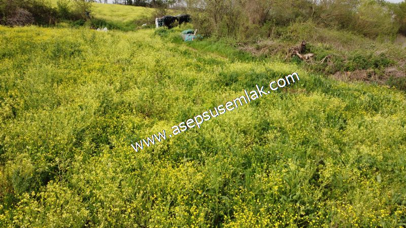 4.034 M2 Gönen Sulama Kanalına Ve Resmi Yola Cepheli Hobi Bahçesi