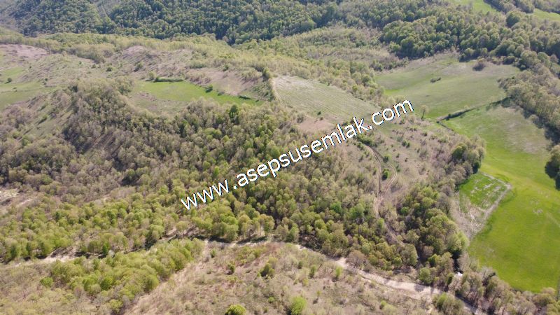 9.086 M2 Yatırımlık Tarla Arıcılık, Hayvancılık Orman'a Cepheli