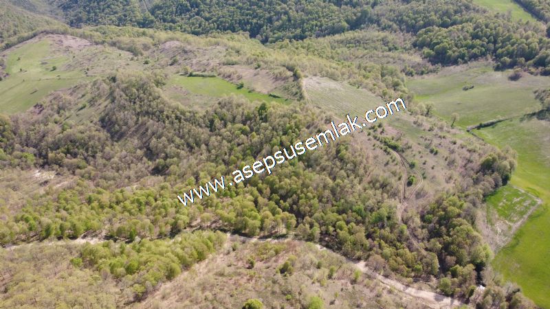 9.086 M2 Yatırımlık Tarla Arıcılık, Hayvancılık Orman'a Cepheli