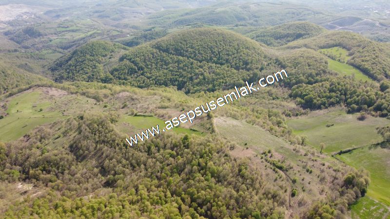 9.086 M2 Yatırımlık Tarla Arıcılık, Hayvancılık Orman'a Cepheli