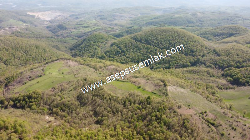 9.086 M2 Yatırımlık Tarla Arıcılık, Hayvancılık Orman'a Cepheli