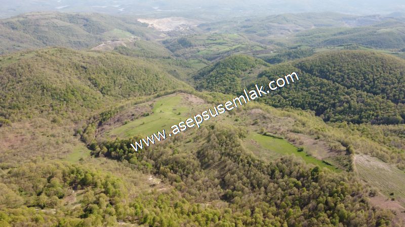 9.086 M2 Yatırımlık Tarla Arıcılık, Hayvancılık Orman'a Cepheli