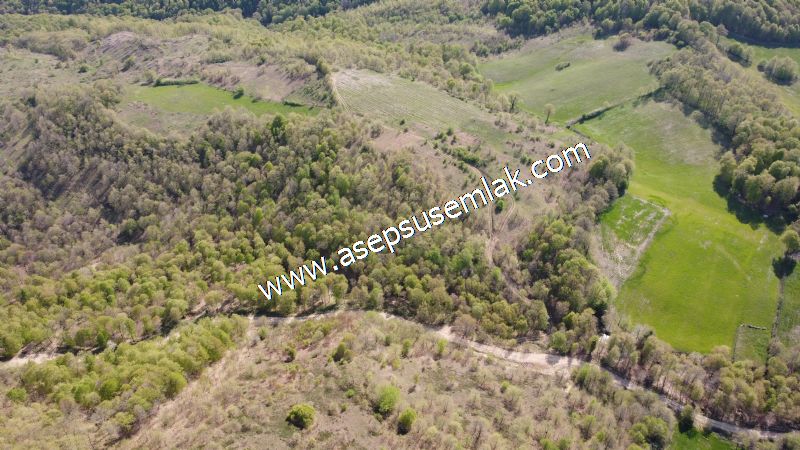 9.086 M2 Yatırımlık Tarla Arıcılık, Hayvancılık Orman'a Cepheli