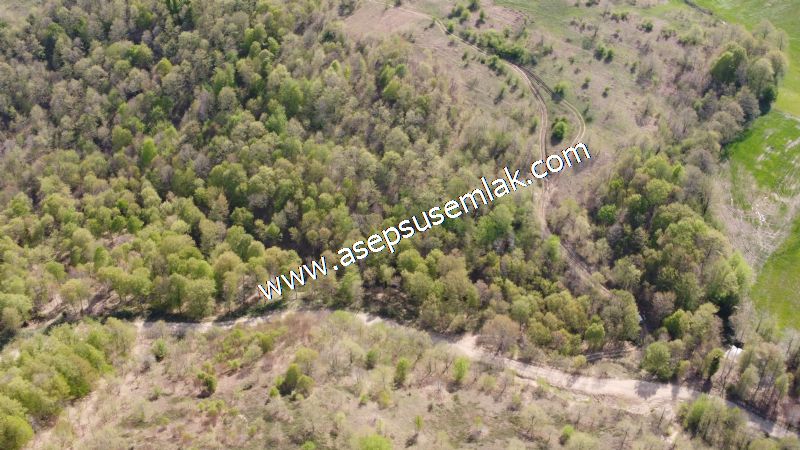 9.086 M2 Yatırımlık Tarla Arıcılık, Hayvancılık Orman'a Cepheli