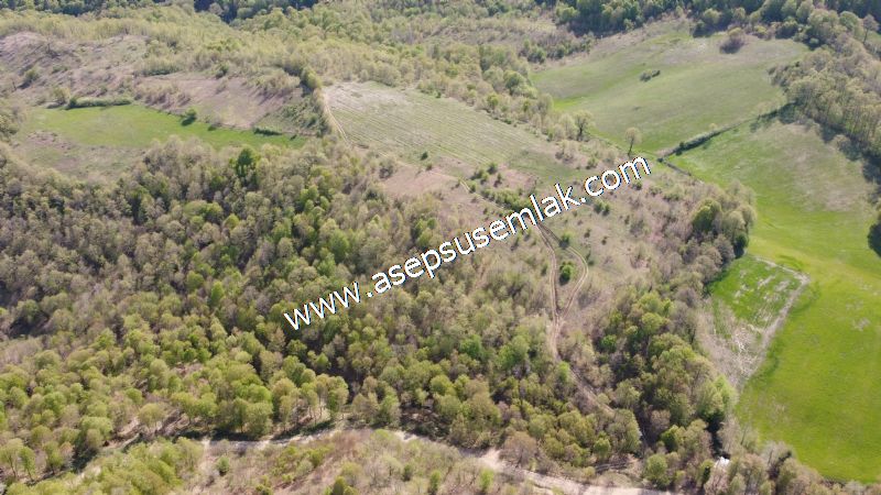 9.086 M2 Yatırımlık Tarla Arıcılık, Hayvancılık Orman'a Cepheli