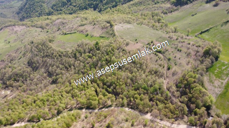 9.086 M2 Yatırımlık Tarla Arıcılık, Hayvancılık Orman'a Cepheli