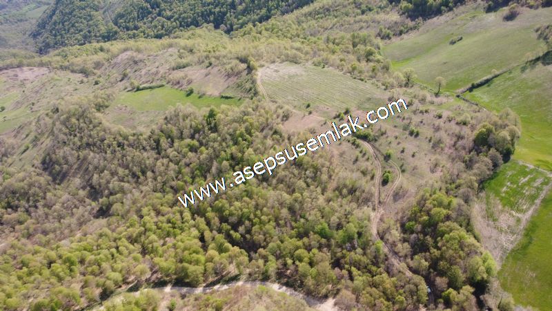 9.086 M2 Yatırımlık Tarla Arıcılık, Hayvancılık Orman'a Cepheli