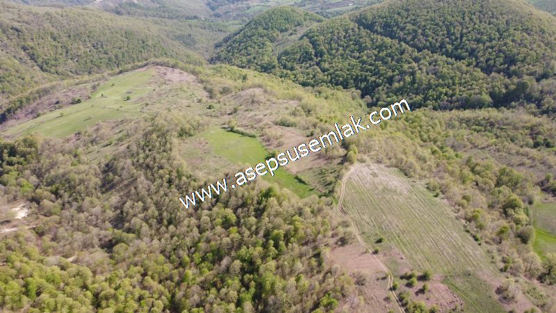 9.086 M2 Yatırımlık Tarla Arıcılık, Hayvancılık Orman'a Cepheli