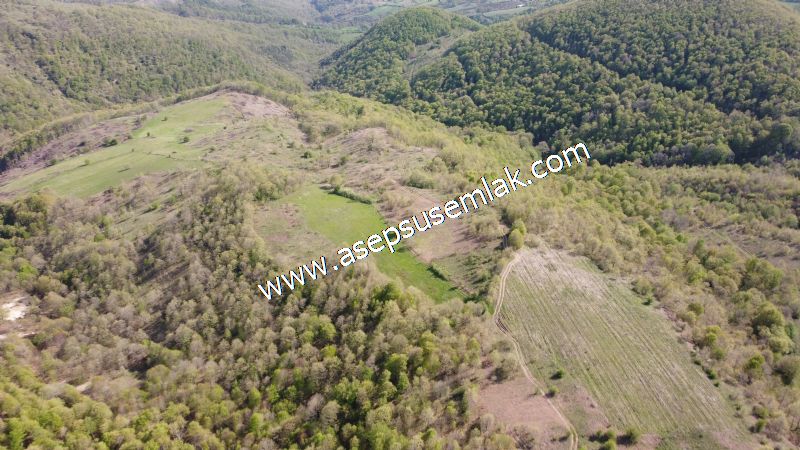 9.086 M2 Yatırımlık Tarla Arıcılık, Hayvancılık Orman'a Cepheli