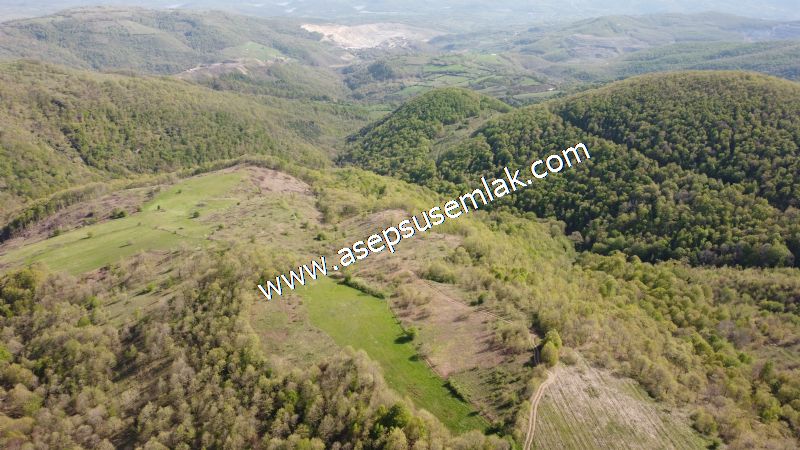 9.086 M2 Yatırımlık Tarla Arıcılık, Hayvancılık Orman'a Cepheli