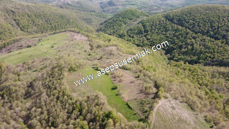9.086 M2 Yatırımlık Tarla Arıcılık, Hayvancılık Orman'a Cepheli