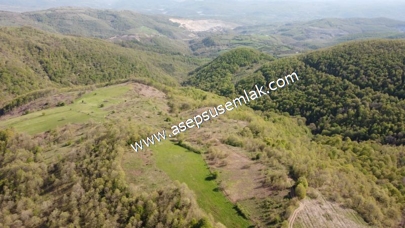 9.086 M2 Yatırımlık Tarla Arıcılık, Hayvancılık Orman'a Cepheli