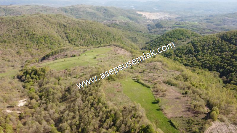 9.086 M2 Yatırımlık Tarla Arıcılık, Hayvancılık Orman'a Cepheli