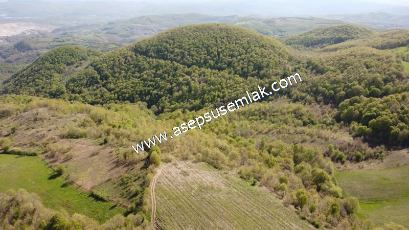9.086 M2 Yatırımlık Tarla Arıcılık, Hayvancılık Orman'a Cepheli