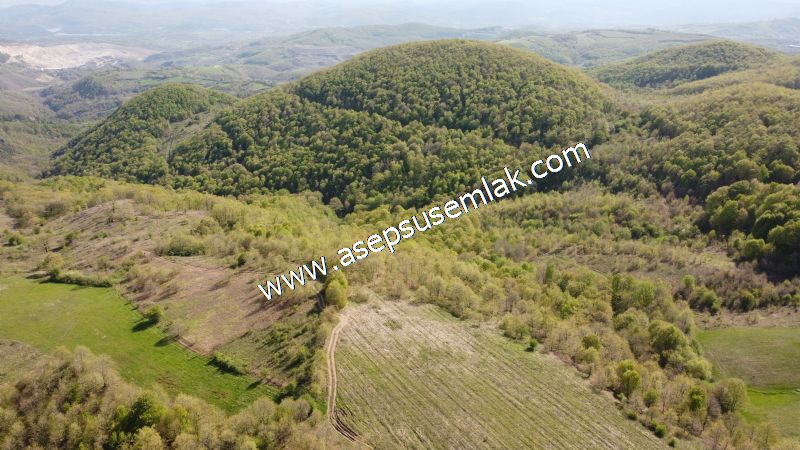9.086 M2 Yatırımlık Tarla Arıcılık, Hayvancılık Orman'a Cepheli