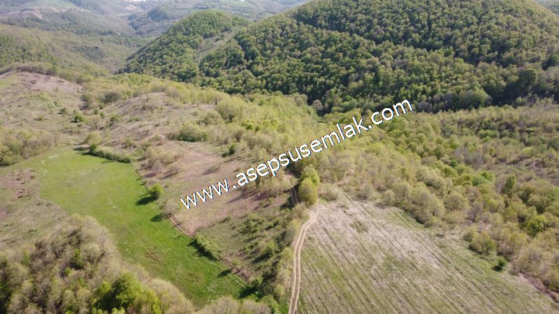 9.086 M2 Yatırımlık Tarla Arıcılık, Hayvancılık Orman'a Cepheli