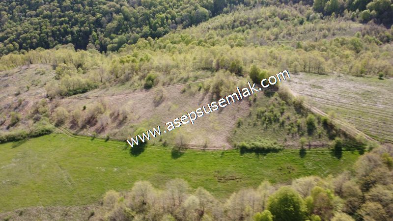 9.086 M2 Yatırımlık Tarla Arıcılık, Hayvancılık Orman'a Cepheli