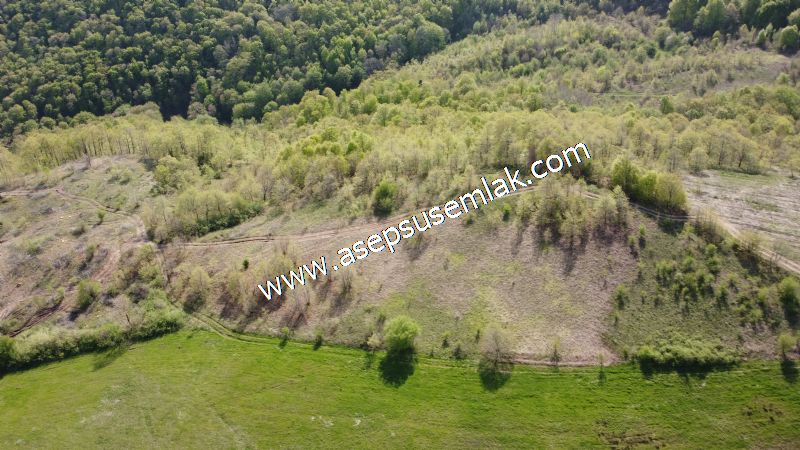 9.086 M2 Yatırımlık Tarla Arıcılık, Hayvancılık Orman'a Cepheli