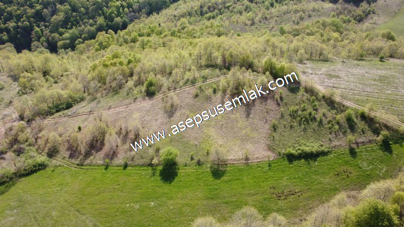 9.086 M2 Yatırımlık Tarla Arıcılık, Hayvancılık Orman'a Cepheli