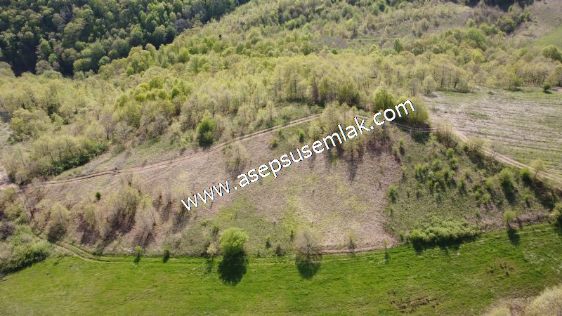9.086 M2 Yatırımlık Tarla Arıcılık, Hayvancılık Orman'a Cepheli