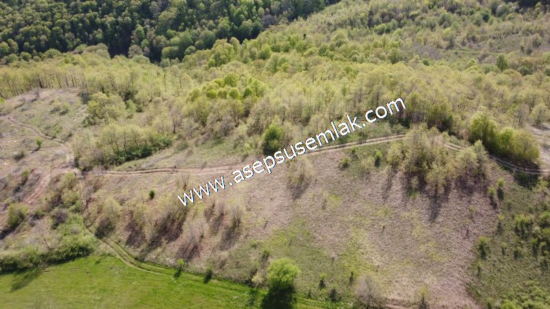 9.086 M2 Yatırımlık Tarla Arıcılık, Hayvancılık Orman'a Cepheli