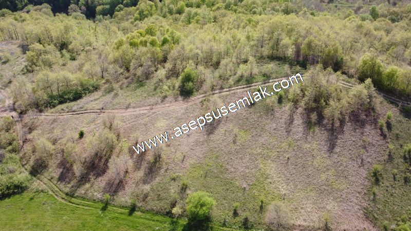 9.086 M2 Yatırımlık Tarla Arıcılık, Hayvancılık Orman'a Cepheli