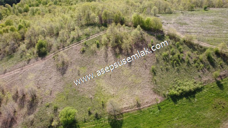 9.086 M2 Yatırımlık Tarla Arıcılık, Hayvancılık Orman'a Cepheli