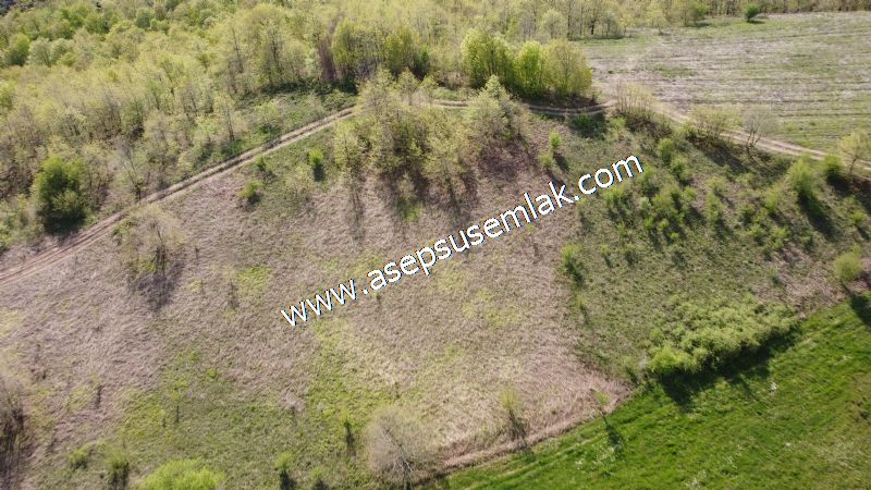 9.086 M2 Yatırımlık Tarla Arıcılık, Hayvancılık Orman'a Cepheli