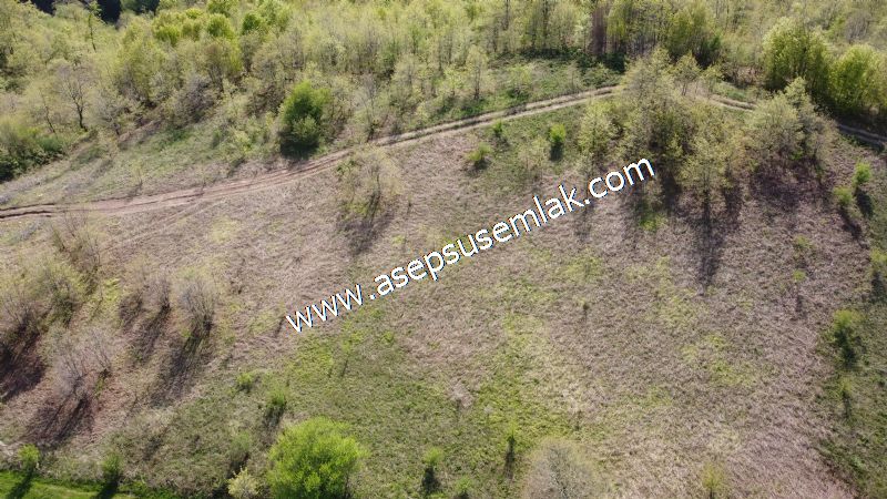 9.086 M2 Yatırımlık Tarla Arıcılık, Hayvancılık Orman'a Cepheli