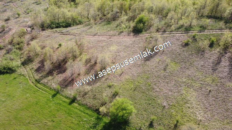 9.086 M2 Yatırımlık Tarla Arıcılık, Hayvancılık Orman'a Cepheli