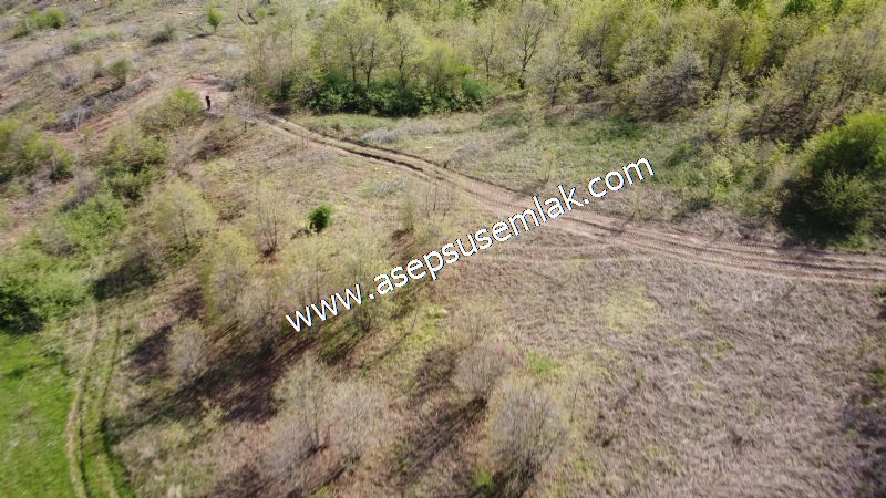 9.086 M2 Yatırımlık Tarla Arıcılık, Hayvancılık Orman'a Cepheli