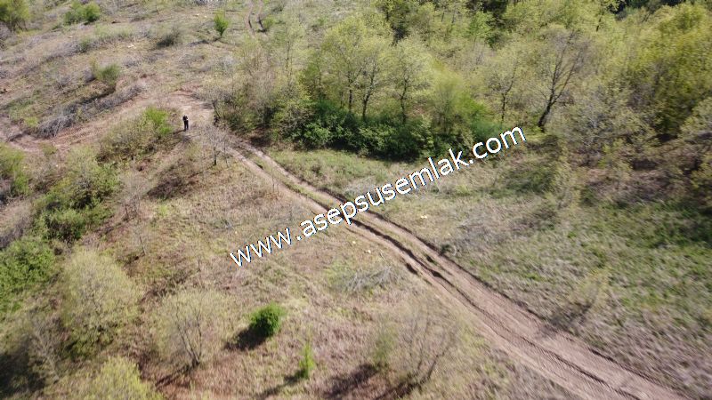 9.086 M2 Yatırımlık Tarla Arıcılık, Hayvancılık Orman'a Cepheli