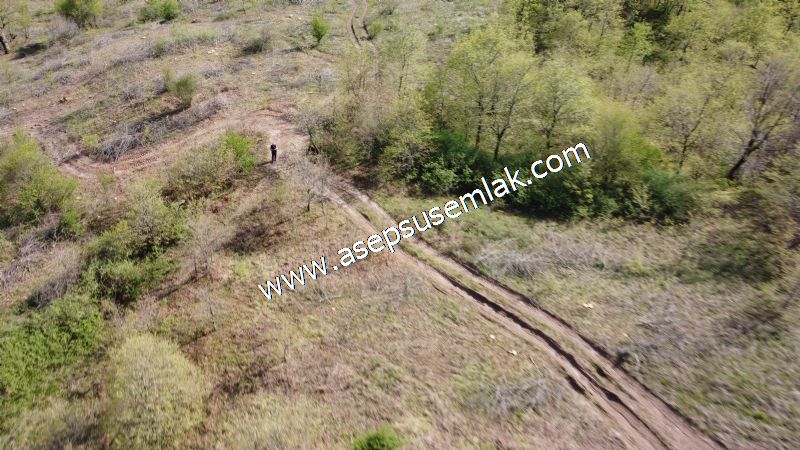9.086 M2 Yatırımlık Tarla Arıcılık, Hayvancılık Orman'a Cepheli