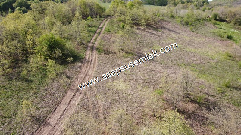 9.086 M2 Yatırımlık Tarla Arıcılık, Hayvancılık Orman'a Cepheli