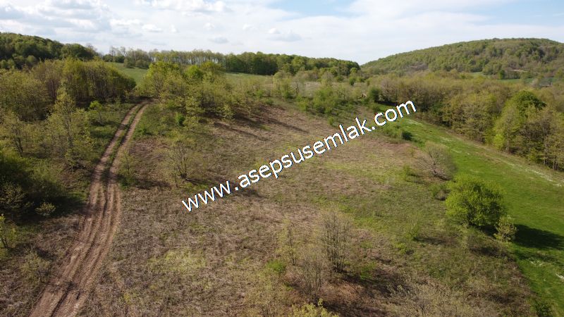 9.086 M2 Yatırımlık Tarla Arıcılık, Hayvancılık Orman'a Cepheli