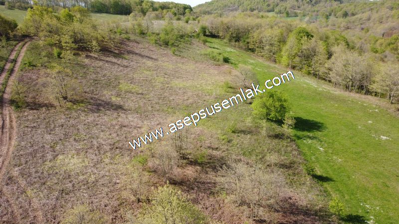 9.086 M2 Yatırımlık Tarla Arıcılık, Hayvancılık Orman'a Cepheli