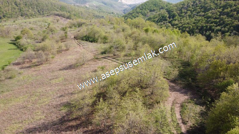 9.086 M2 Yatırımlık Tarla Arıcılık, Hayvancılık Orman'a Cepheli