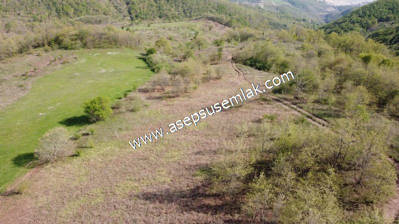 9.086 M2 Yatırımlık Tarla Arıcılık, Hayvancılık Orman'a Cepheli