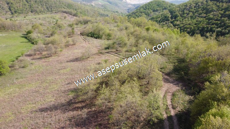 9.086 M2 Yatırımlık Tarla Arıcılık, Hayvancılık Orman'a Cepheli
