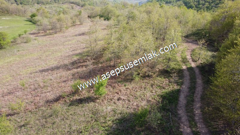 9.086 M2 Yatırımlık Tarla Arıcılık, Hayvancılık Orman'a Cepheli